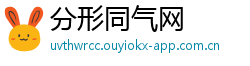 分形同气网